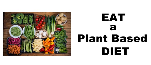 Eat A Plant Based Diet