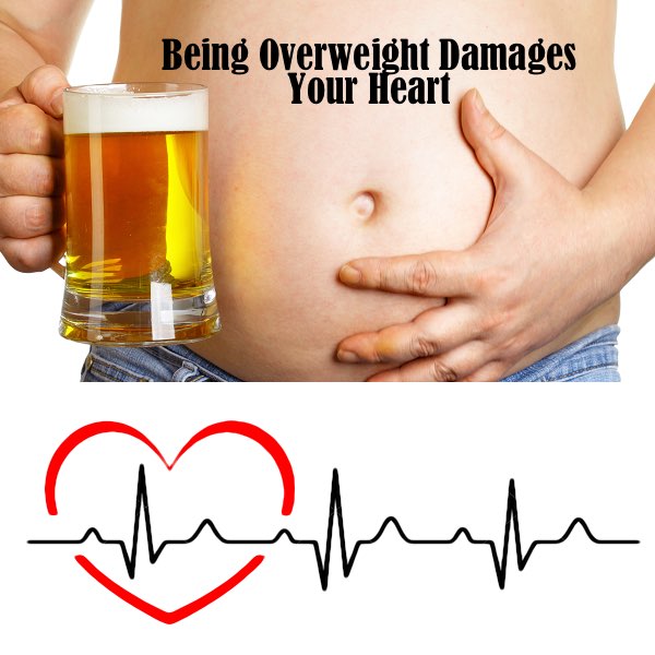 Overweight Damages Your Heart