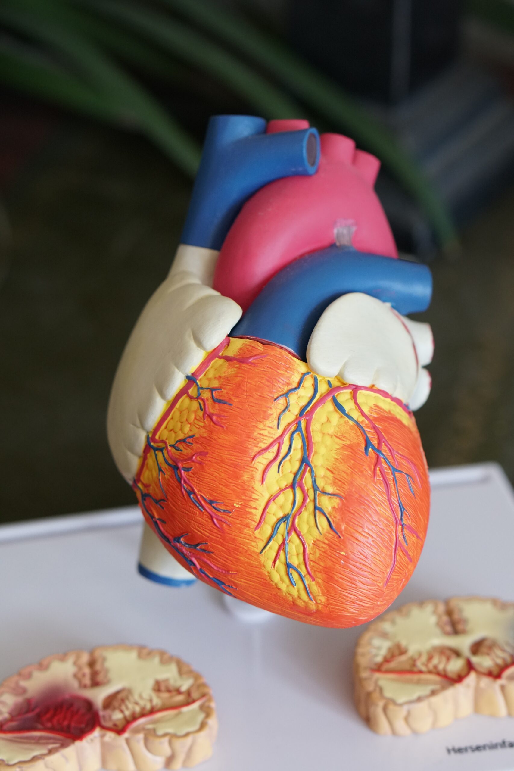Implantable Heart Pump Prolongs Life in Heart Failure Patients